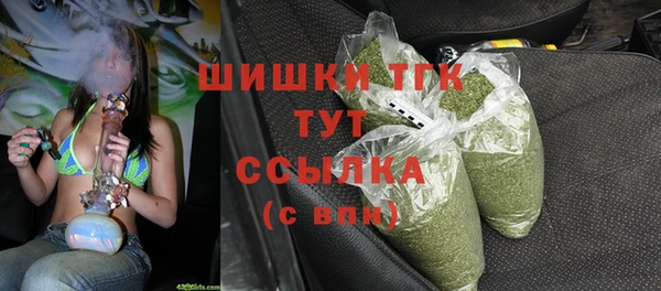 крисы Аркадак